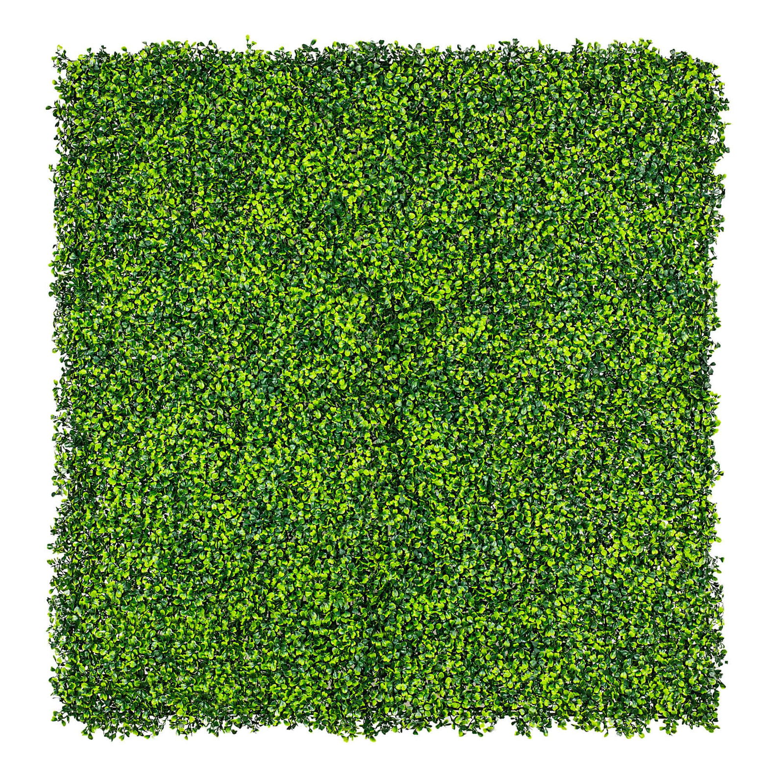 V637-1014801-202508251345-00 Mixed Boxwood Hedge Panels / Screens UV Resistant 1m X 1m - Image 1