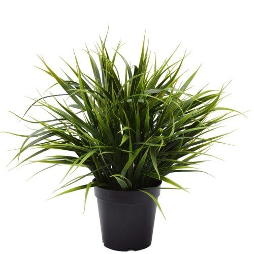 V637-1043004-202508251355-00 Artificial Ornamental Potted Dense Green Grass UV Resistant 38cm - Image 1