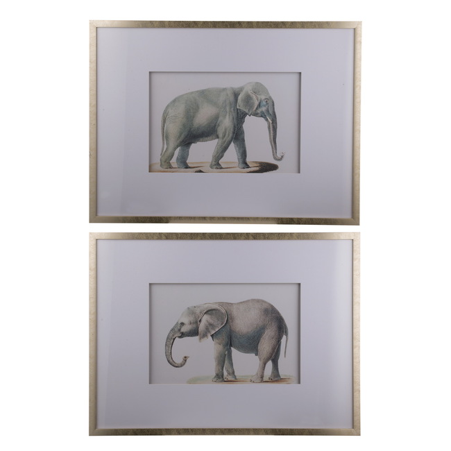 V637-20824-202508251230-00 Set 2 Elephant Framed Prints 80cm - Image 1