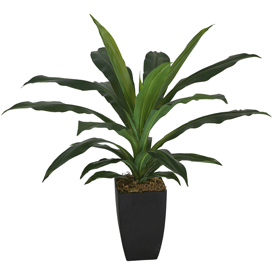 V637-68503PLN-202508251906-00 Potted Artificial Faux Janet Craig Dracaena 58cm - Image 1