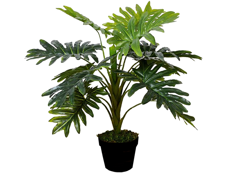 V637-68510PLN-202508251906-00 Artificial Janet Craig Dracaena in Pot 70cm - Image 1