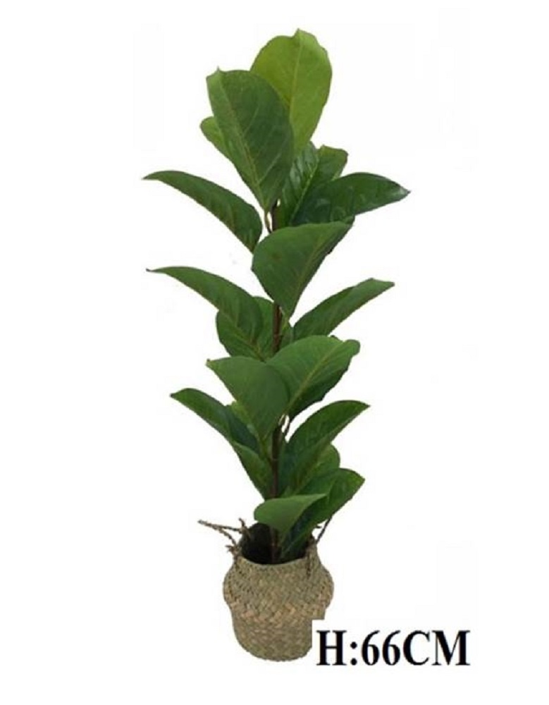 V637-AFL30233-202508251545-00 Artificial Decorative Plant in Basket Tree 66cm - Image 1