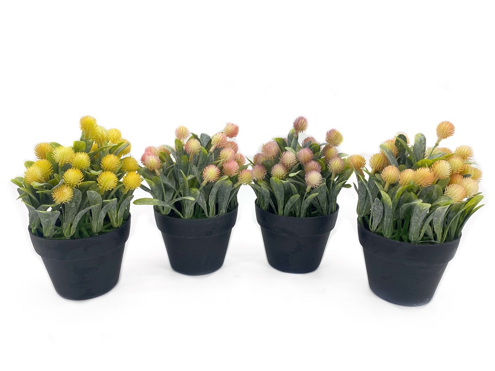 V637-AFL30268-202508251545-00 Set 4 Artificial Protea in Pot Assort 20cm - Image 1