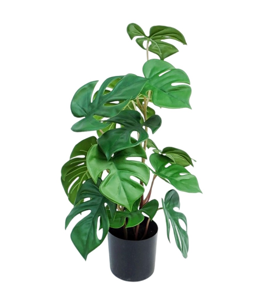 V637-AFL30971-202508251611-00 Artificial Monstera In Plastic Pot 10x26cm - Image 1