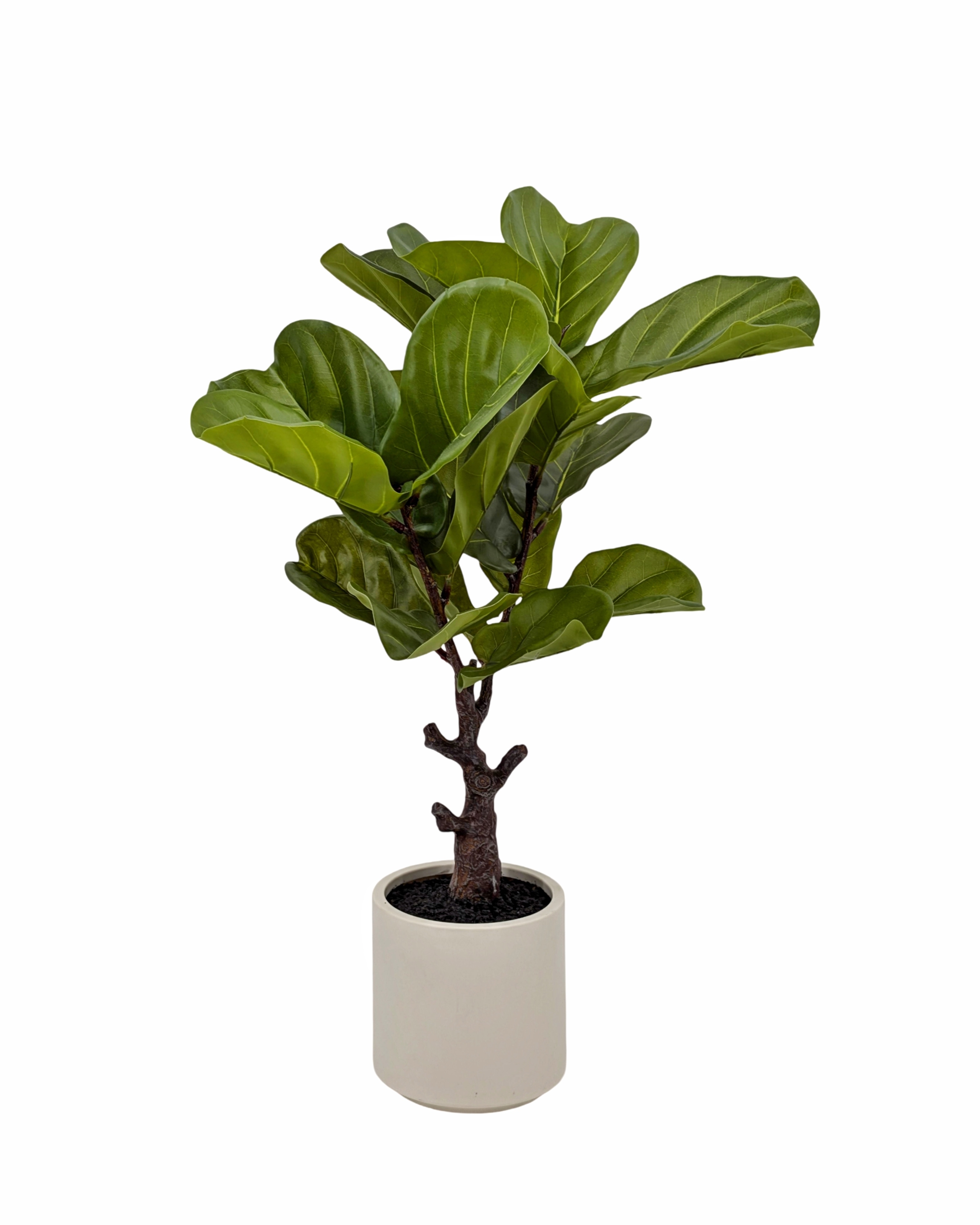 V637-AFL35443-202508251704-00 Artificial Real Touch Fiddleleaf Tree 75cm - Image 1