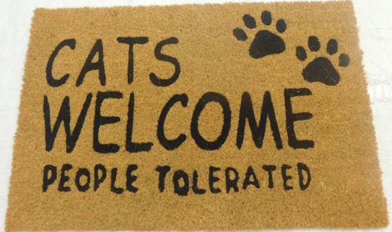 V637-E423706-202508252353-00 Cats Welcome People Tolerated Doormat 60x40cm - Image 1