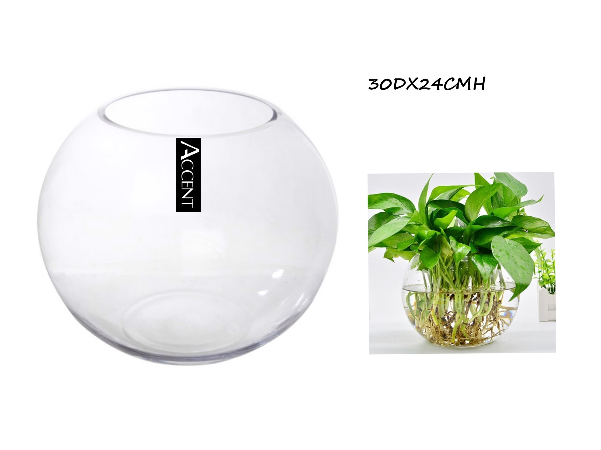 V637-GBO30322-202508252020-00 Glass Rose Round Fish Bowl 30x24cm - Image 1