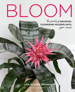 V637-PHOE1573-202508260152-00 Bloom: The secrets of growing flowering houseplant - Image 1
