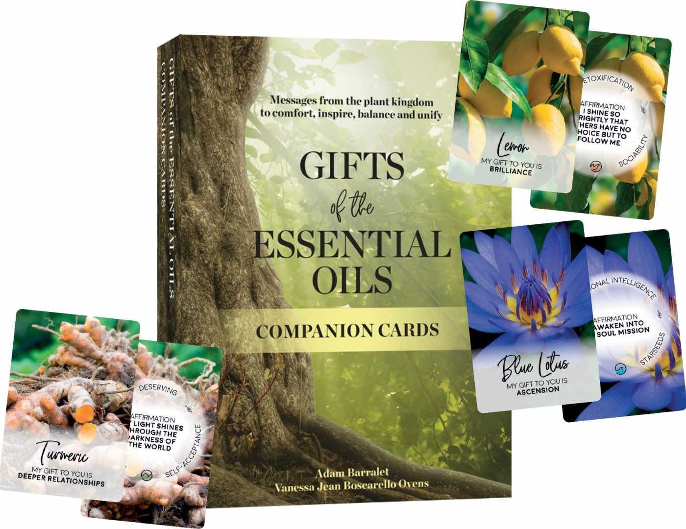 V637-PHOE2191-202508260210-00 Gifts Of The Essential Oils Companion Cards - Image 1