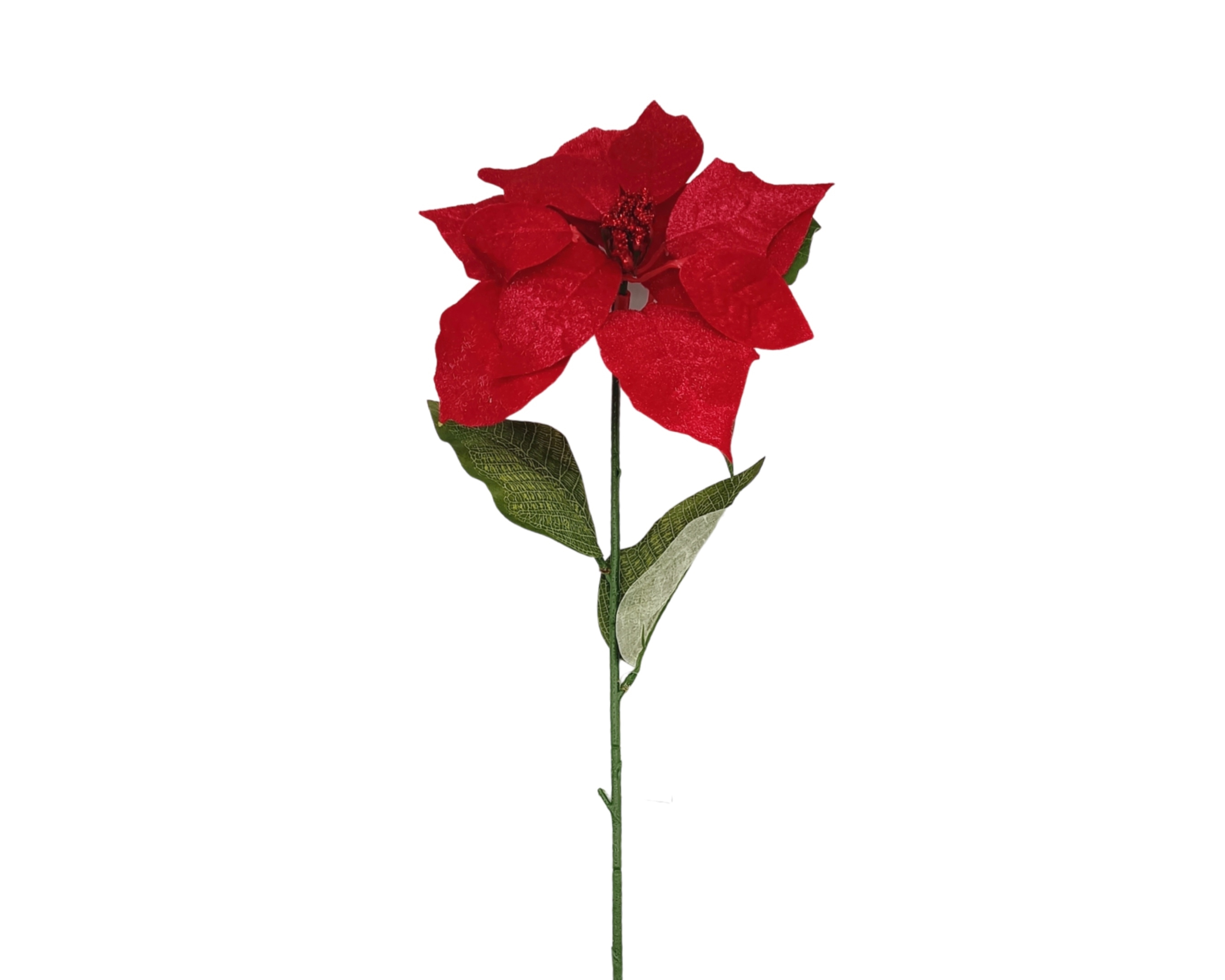 V637-XMS34561-202508260840-00 bulk 24 Xmas Faux Velvet Poinsettia Single Spray 70cm - Image 1