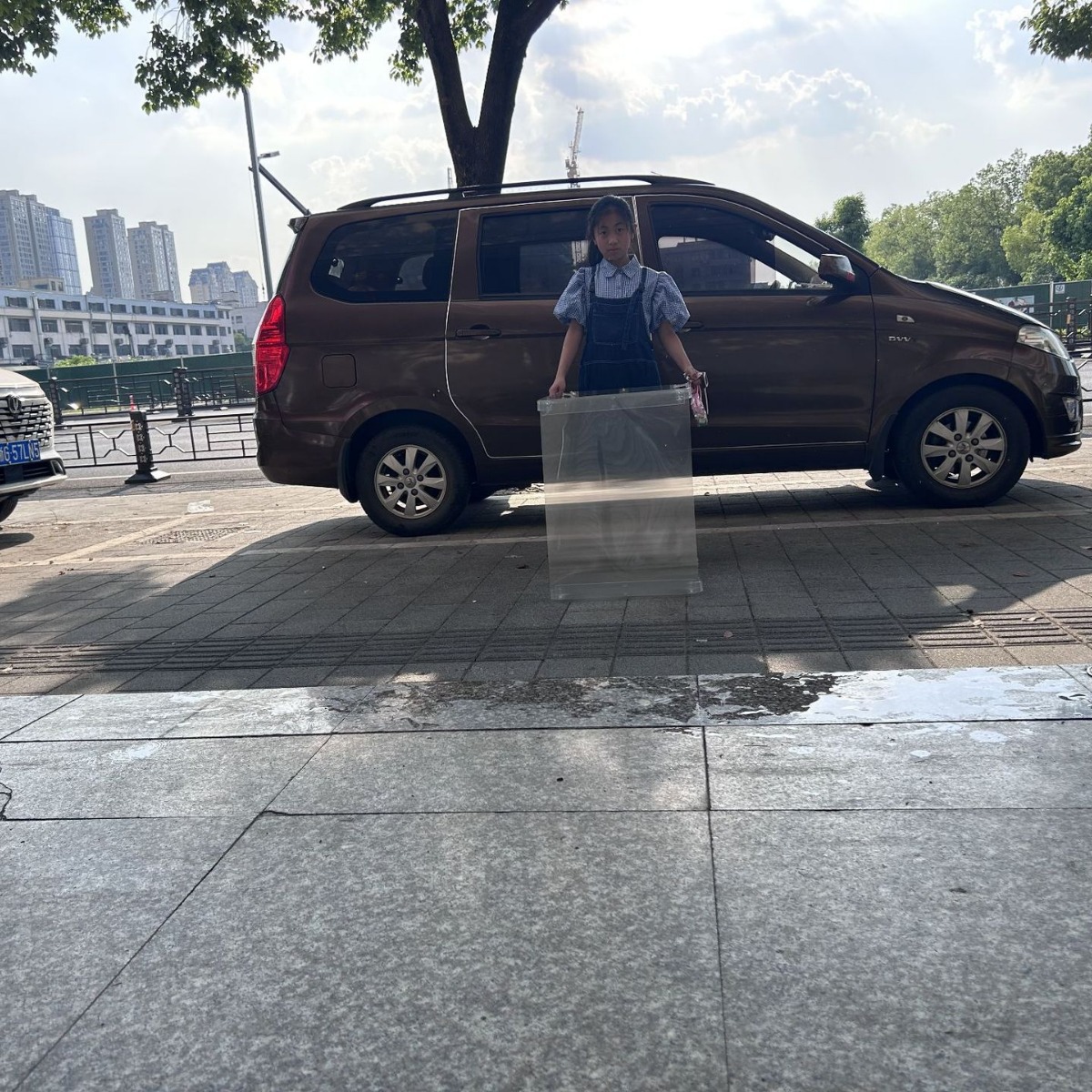 V888-ELOSUNG33745-202508111445-00 30*20CM Amazing Invisibility Shield Prop - Optical Illusion Lenticular Lens for Magic Tricks - Image 1